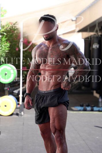 . Andrew 658 395524 . - Imagen 3