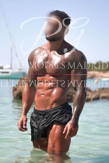 . Andrew 658 395524 .